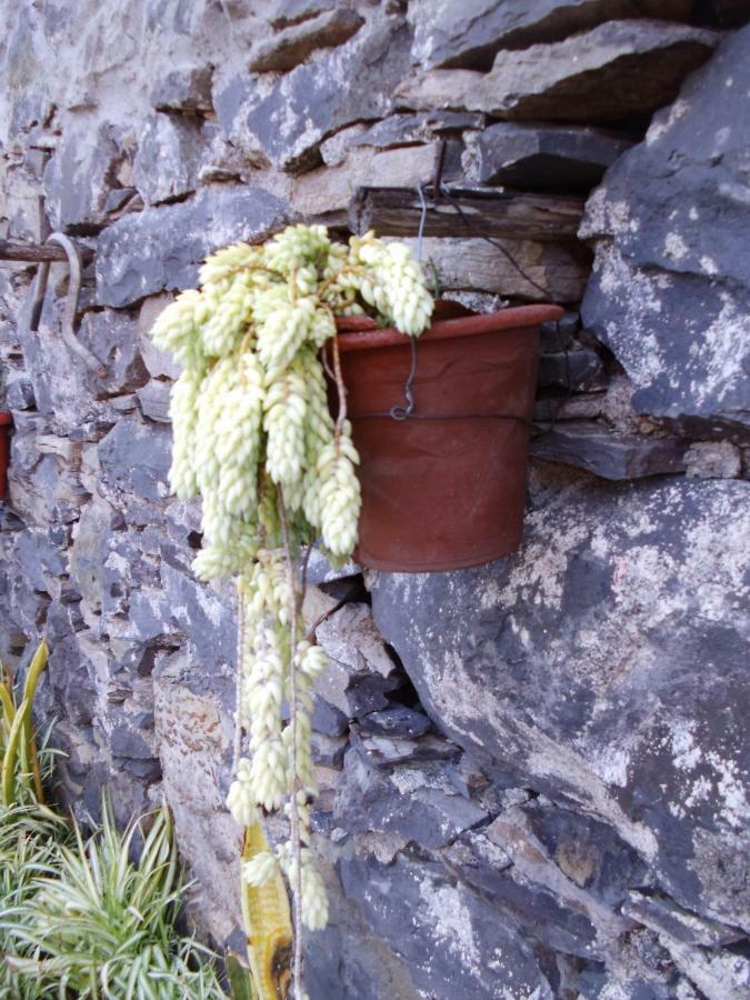 Madeira-Meerblick-Haus Estreito Da Calheta Exterior foto